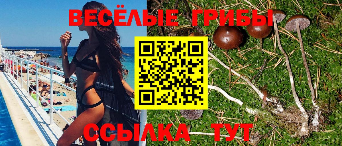 Псилоцибиновые грибы мухоморы Донецк